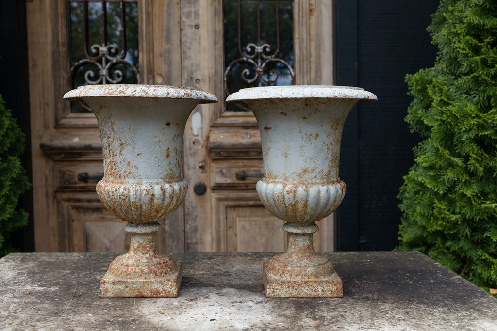 19th Century French Twin Urns
