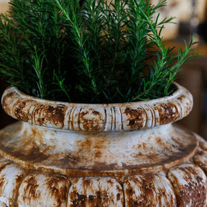19th Century French Cast Iron Urn ~ White Rusty Patina