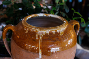 Antique French Terracotta Olive Pot