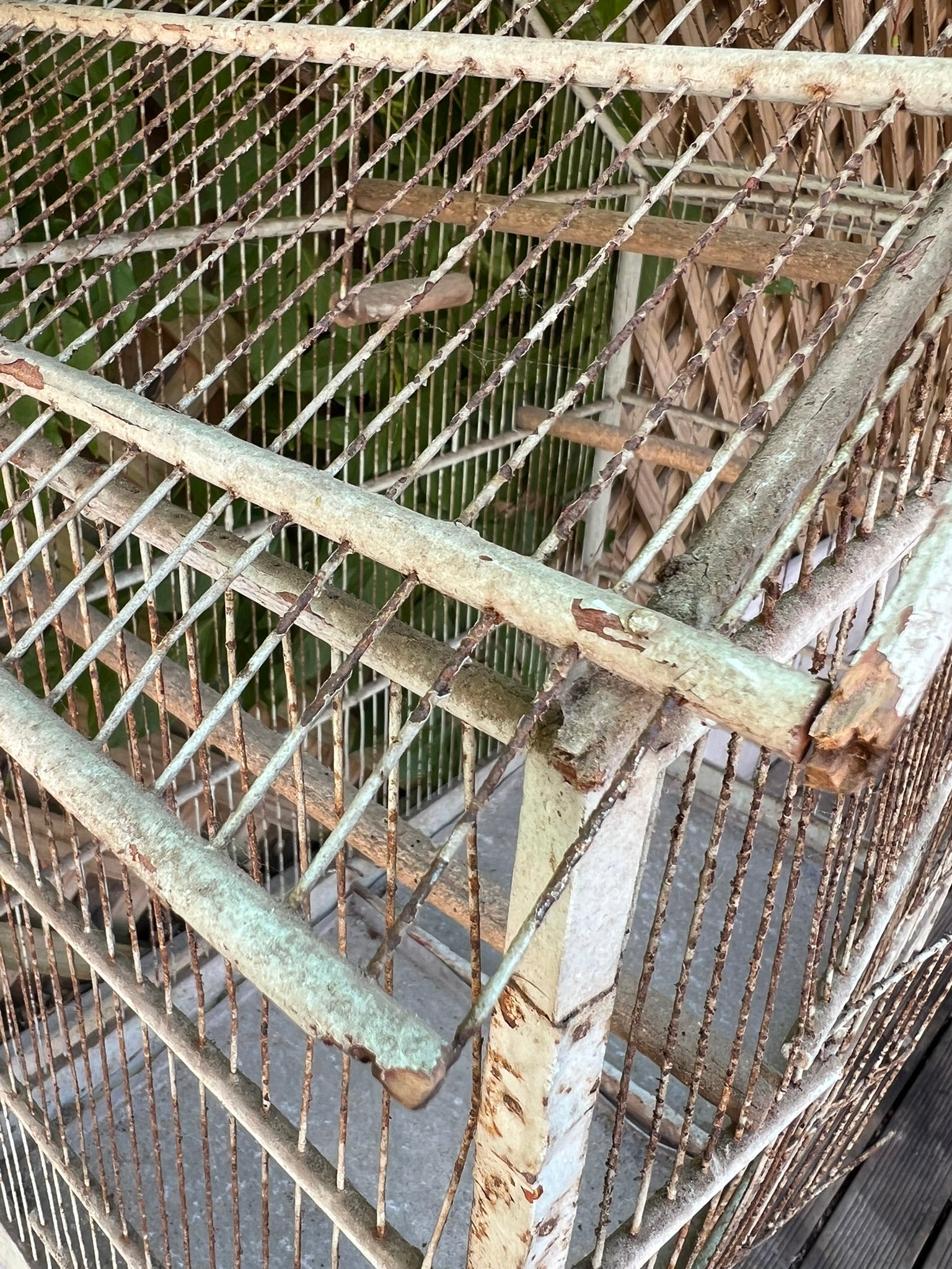 1950's French Birdcage ~ Grey Patina