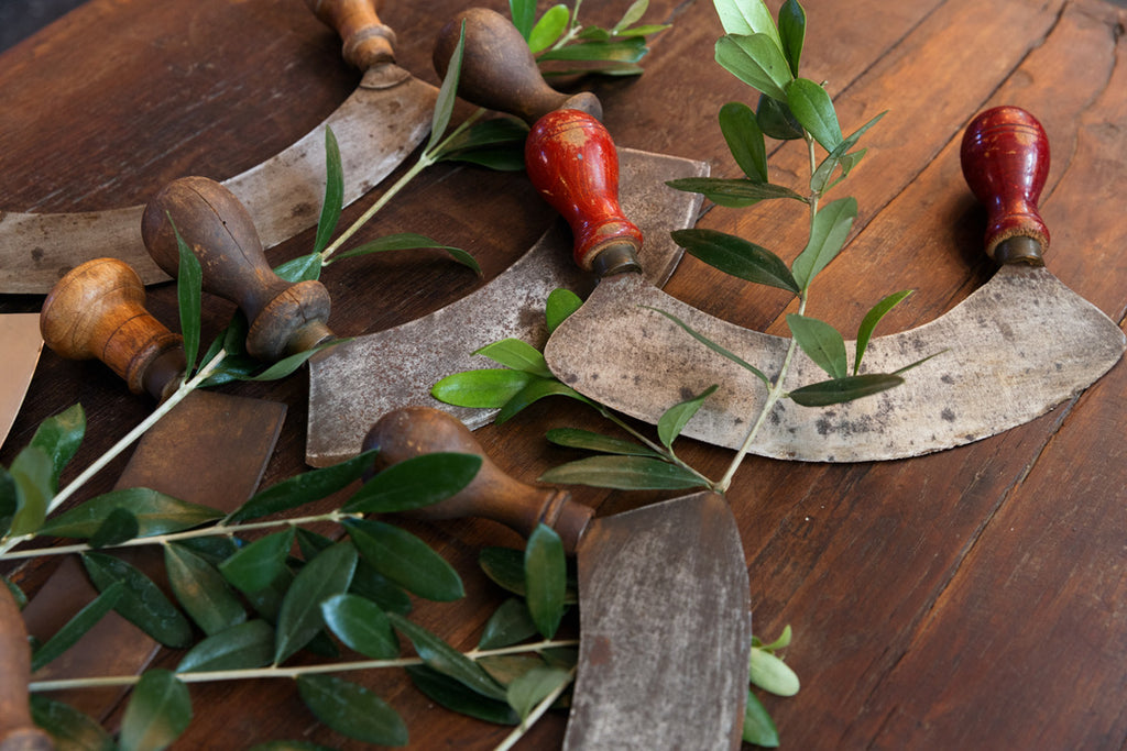 Original Vintage French Herb Cutters
