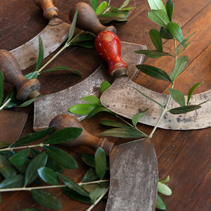 Original Vintage French Herb Cutters