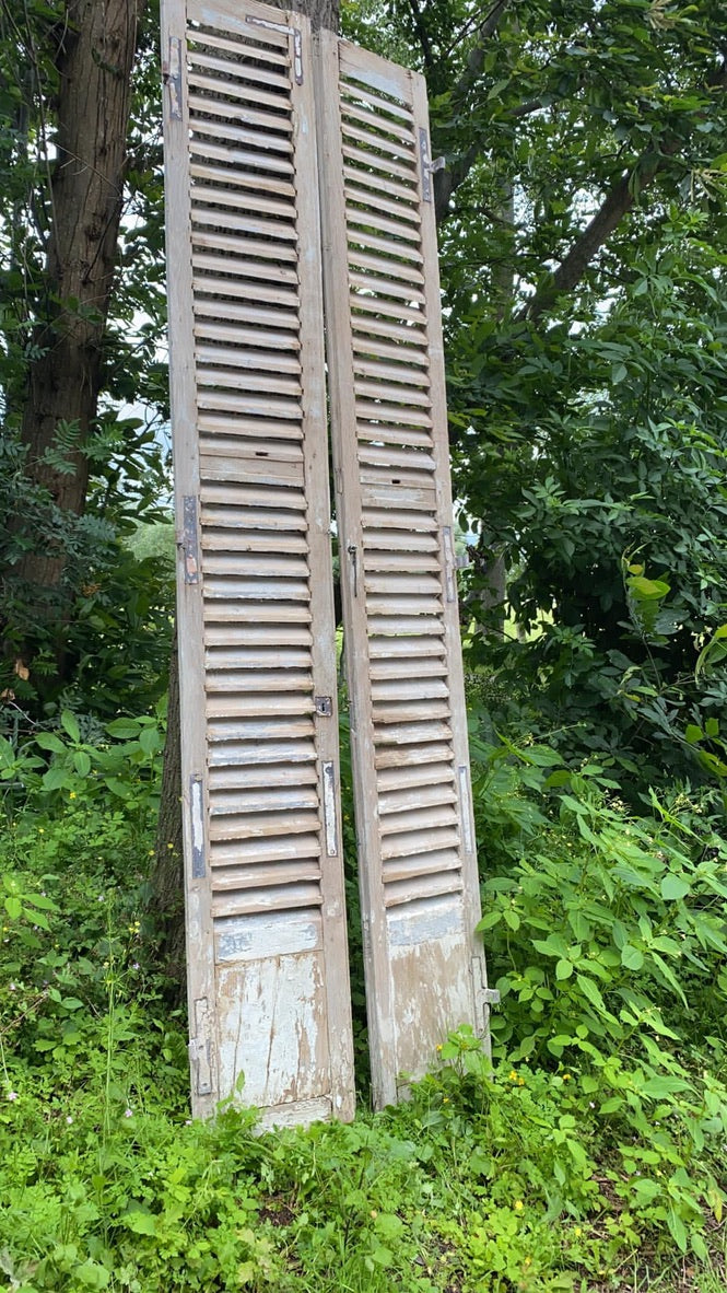 Huge Vintage French Shutters