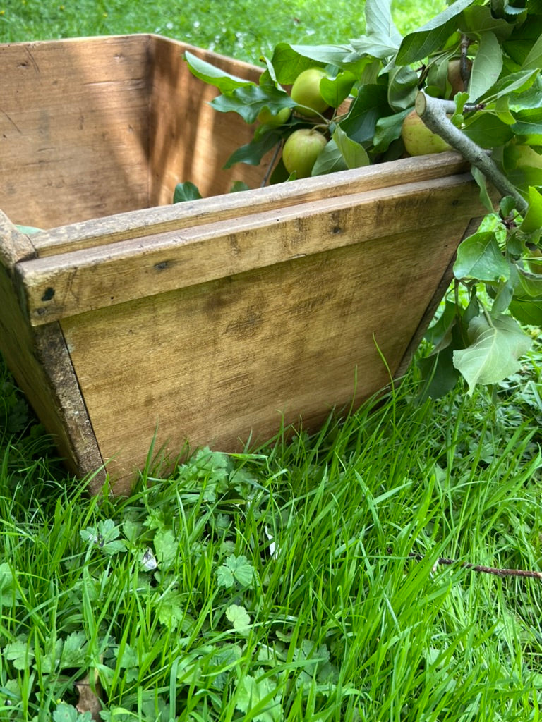 Vintage French Wooden Crate/Trug