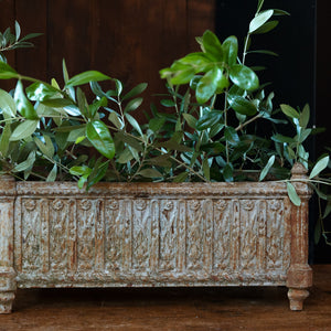 19th Century French Cast Iron Jardinière Planter ~ No 1