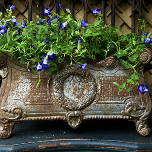 Beautiful Large 19th Century French Jardiniere