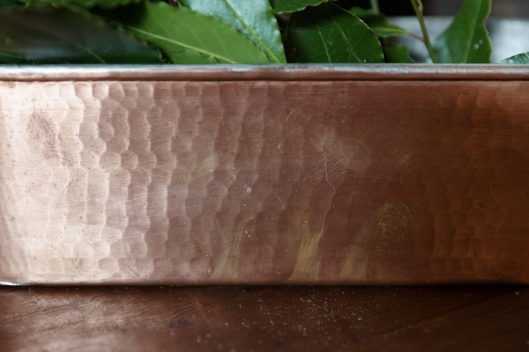 French Copper Poacher ~ Brass Handles