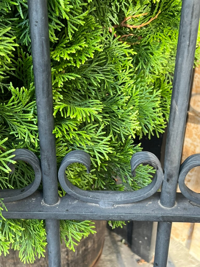 French Wrought Iron Gates ~ Black Acorn Finals