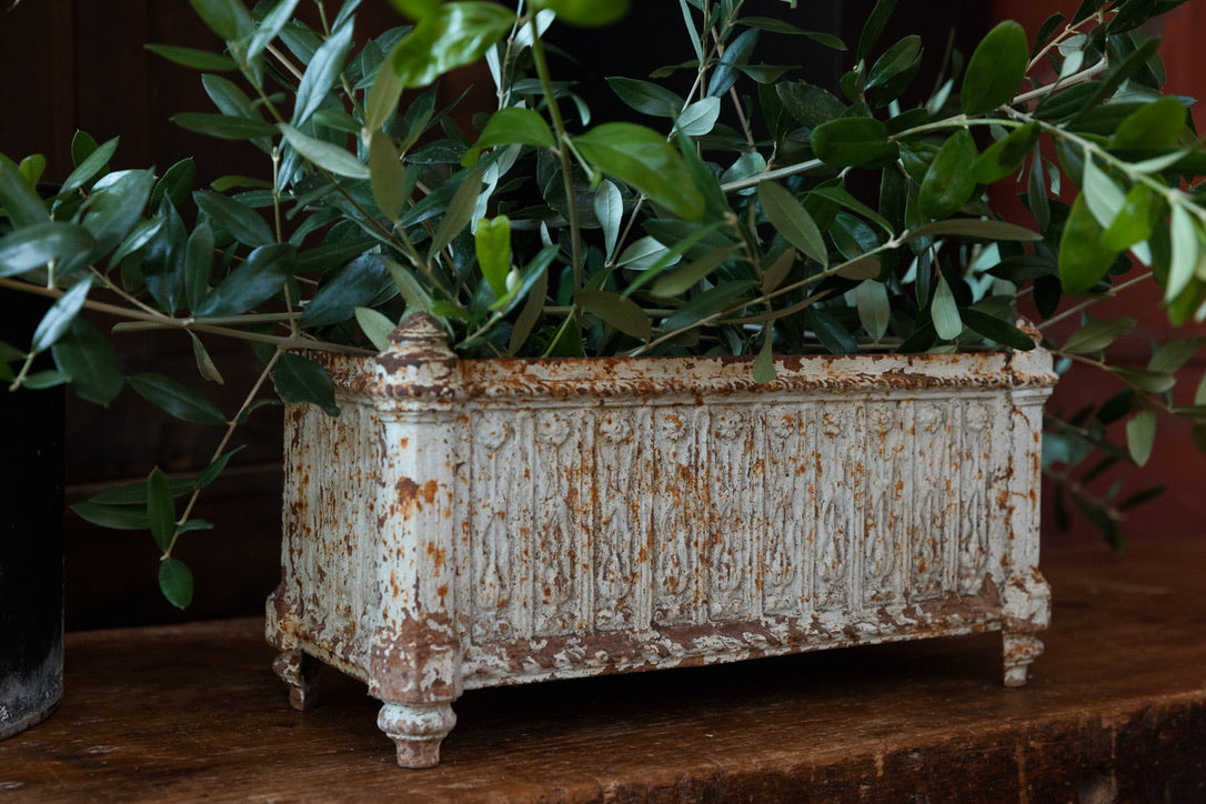 19th Century French Cast Iron Jardinière Planter ~ No 2