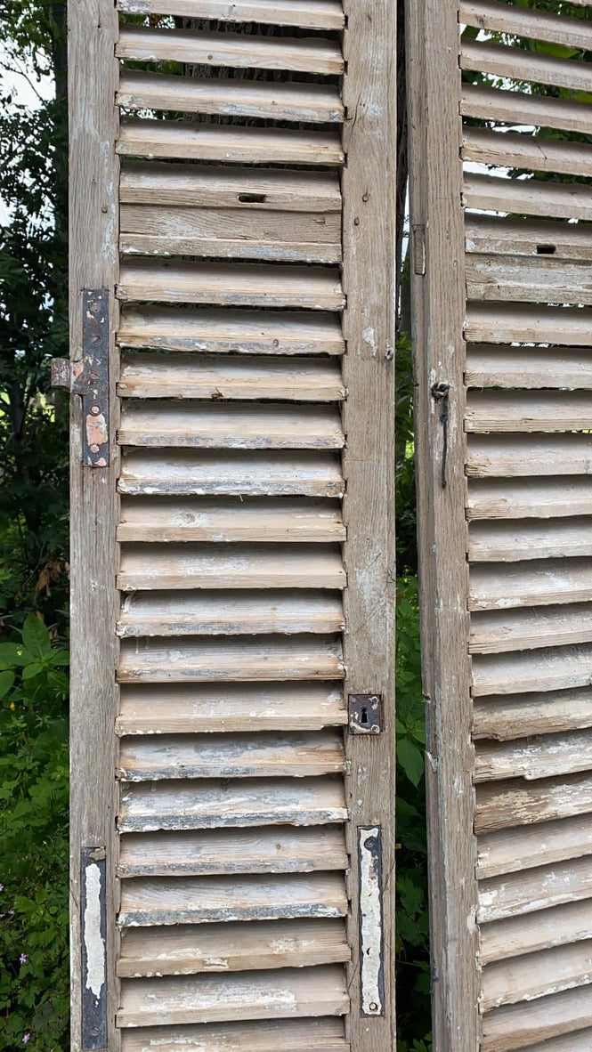 Huge Vintage French Shutters