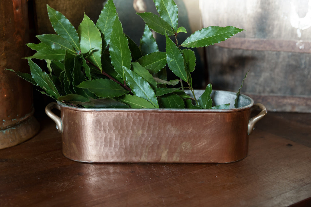 French Copper Poacher ~ Brass Handles