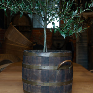 19th Century Brass & Wooden Barrel Planter