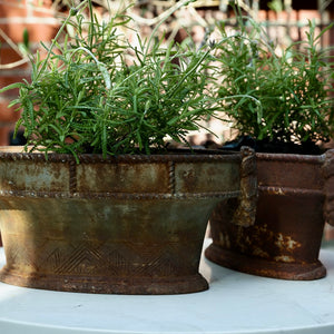 19th Century French Cast Iron Jardinieres ~ Twins