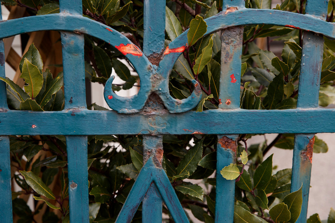 Vintage French Gate ~ Blue Patina