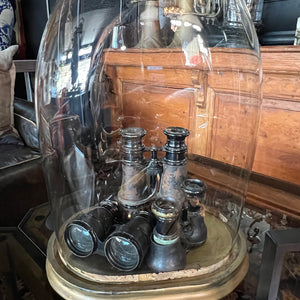 Photo 9 - Vintage Binoculars In Vintage Dome