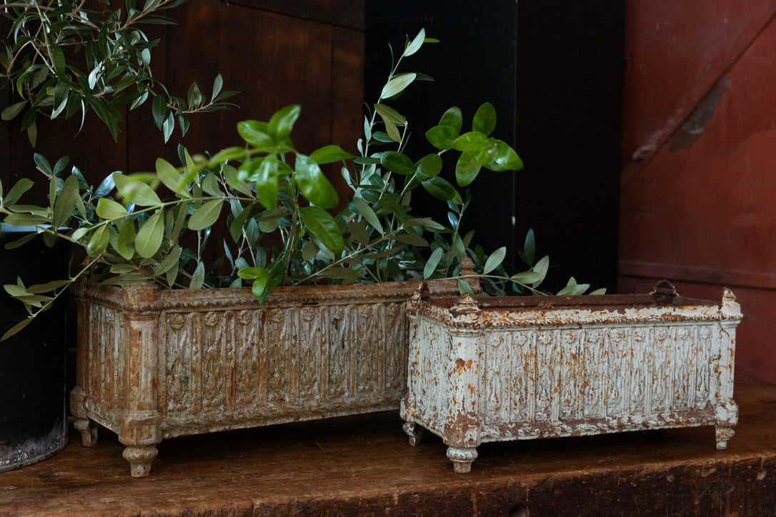 19th Century French Cast Iron Jardinière Planter ~ No 2