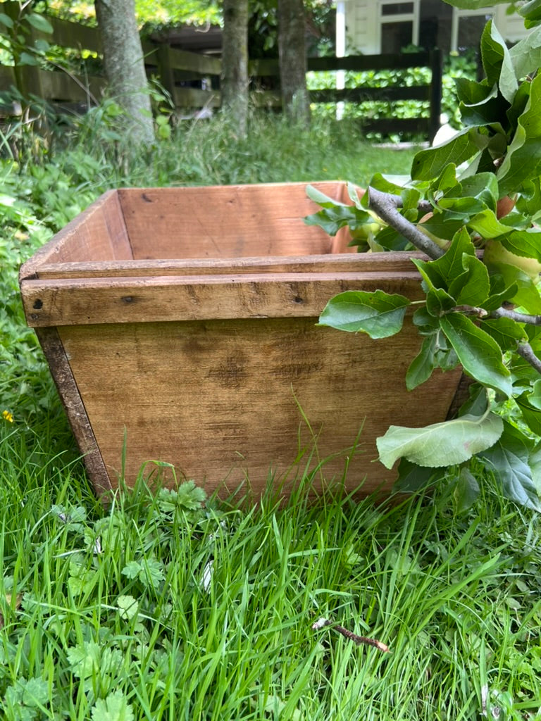 Vintage French Wooden Crate/Trug