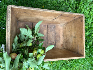 Vintage French Wooden Crate/Trug