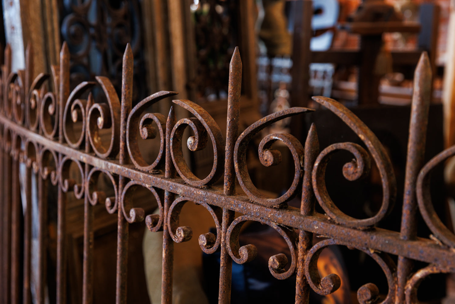 19th Century French Wrought Iron Curved Fencing