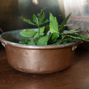 Vintage French Copper Pan ~ Bay Leaves
