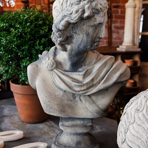 Apollo Stone Bust