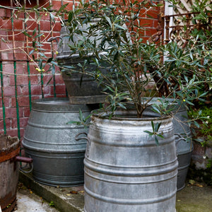 Original 1930's Belgian Zinc Dolly Bins/Planters