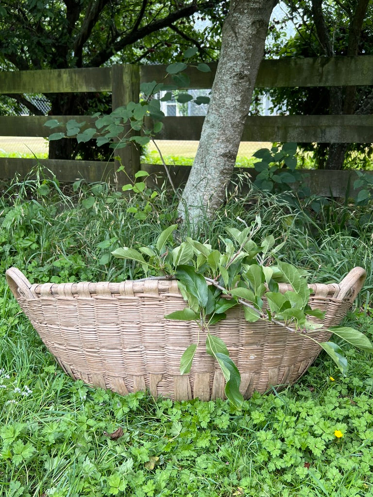 Vintage French Basket ~ No D