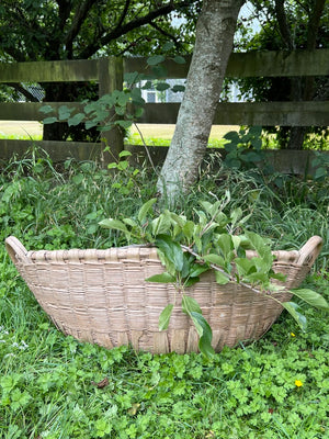 Vintage French Basket ~ No D