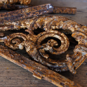 19th Century French Cast Iron Fence Decoration
