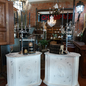 French 19th Century Wooden Cameo Plinths
