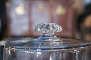 Antique French Glass Dome Cloche - J