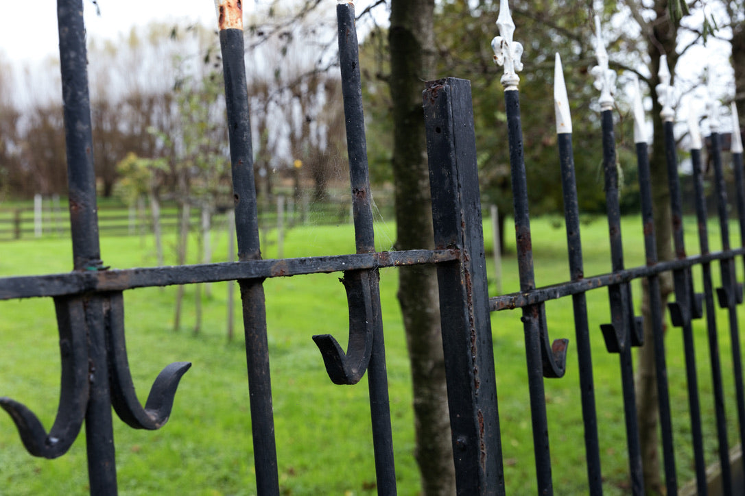 Vintage Belgian Iron Entrance Gates