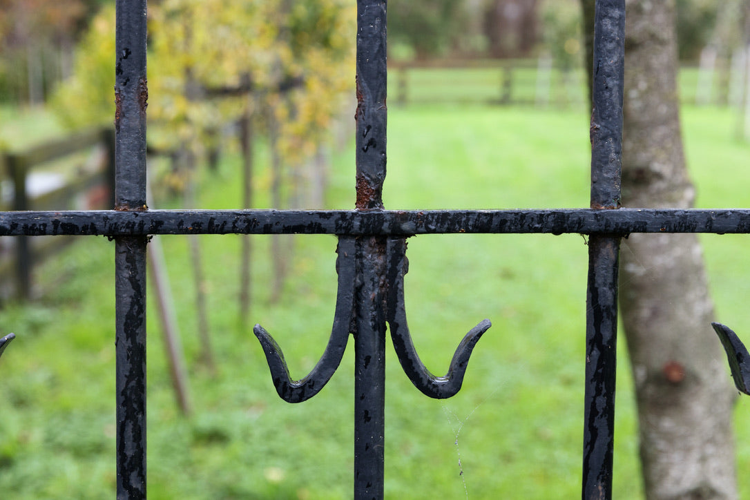 Vintage Belgian Iron Entrance Gates