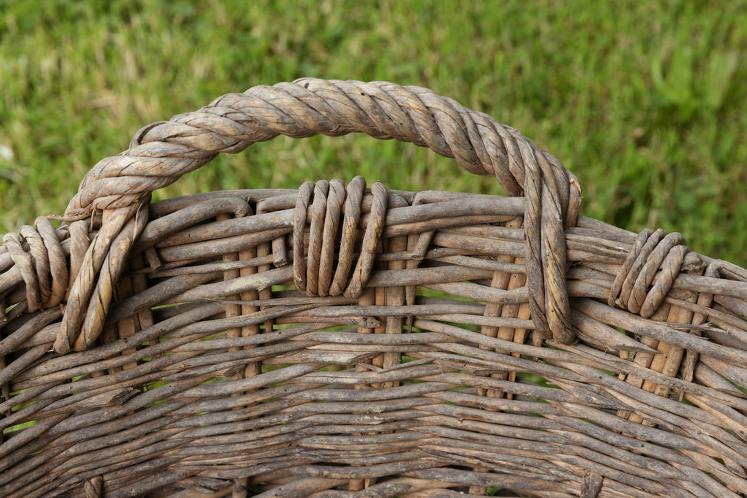 French Champagne Grape Picking Baskets