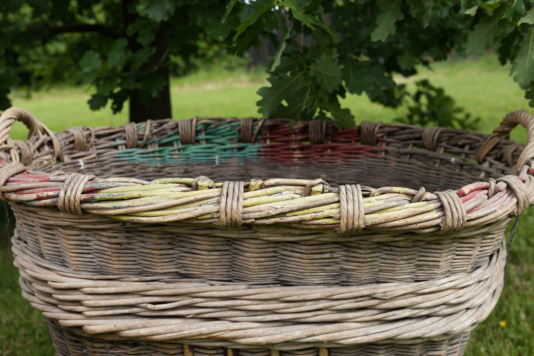 French Champagne Grape Picking Baskets