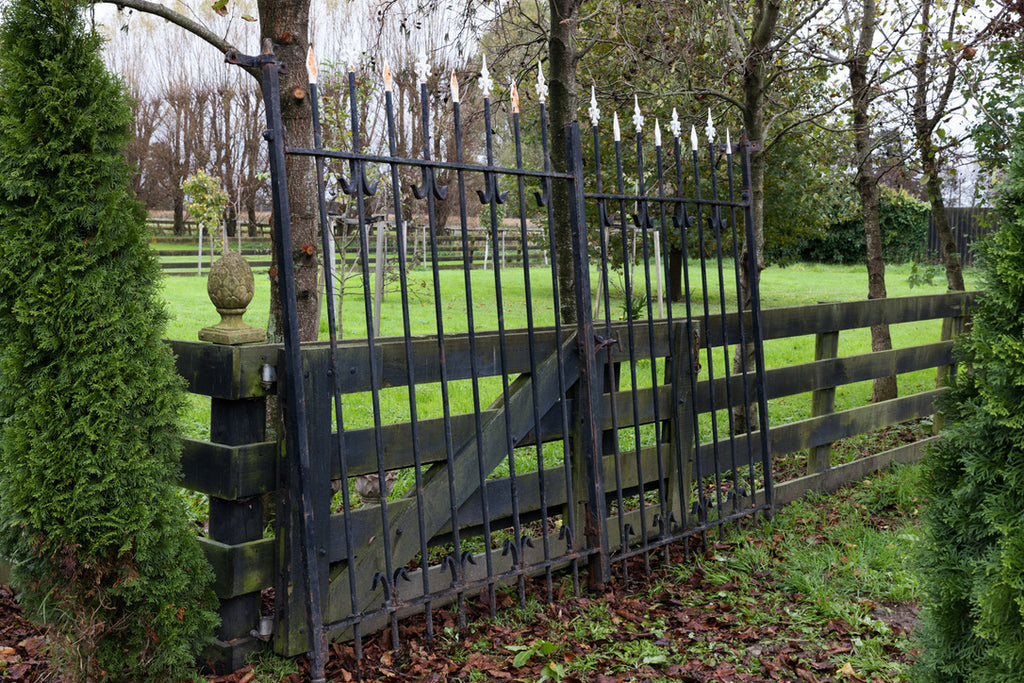 Vintage Belgian Iron Entrance Gates