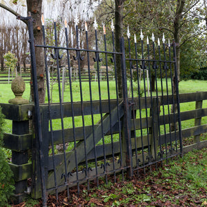 Vintage Belgian Iron Entrance Gates