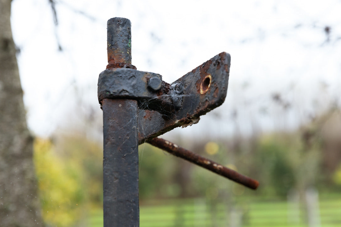 Vintage Belgian Iron Entrance Gates