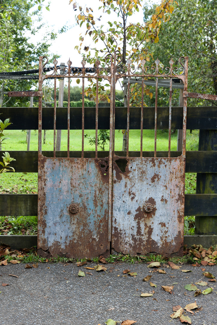 19th Century French Wrought Iron Gates