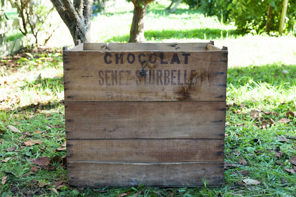 Belgium Chocolate Crate - Senez Sturbell