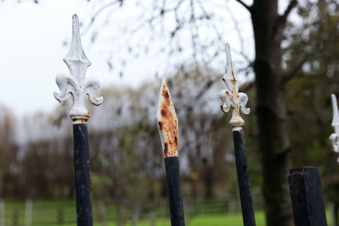 Vintage Belgian Iron Entrance Gates