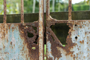 19th Century French Wrought Iron Gates