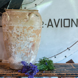 Gorgeous 19th Century Italian Terracotta Urn