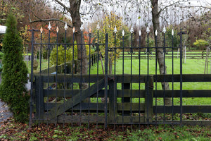 Vintage Belgian Iron Entrance Gates