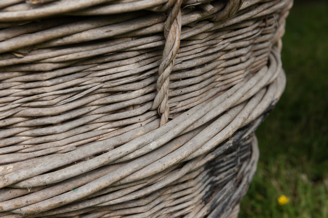 French Champagne Grape Picking Baskets