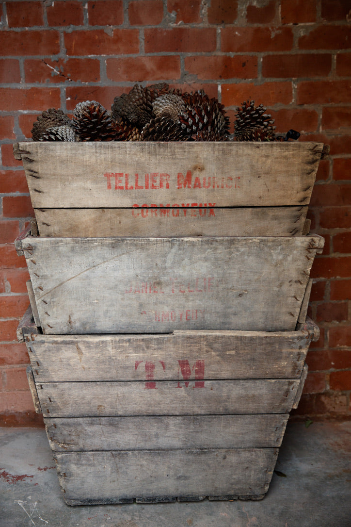 Large French Wooden Grape Harvest Crates
