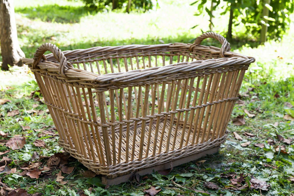 French Basket  - No 46