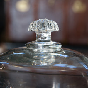 French Antique Glass Dome Cloche- E