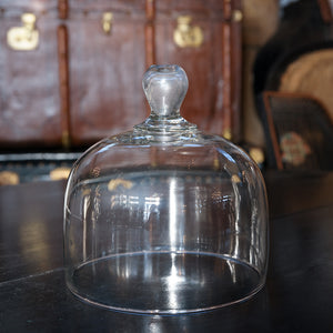 French Antique Glass Dome Cloche - I