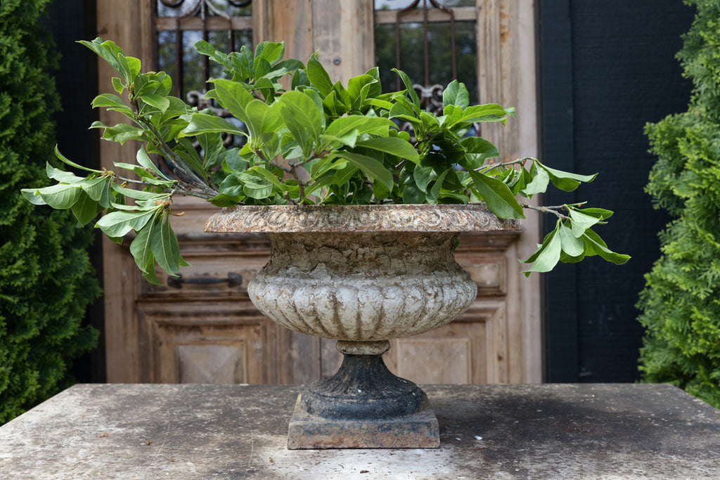 Gorgeous Chubby 19th Century French Urn - No 21
